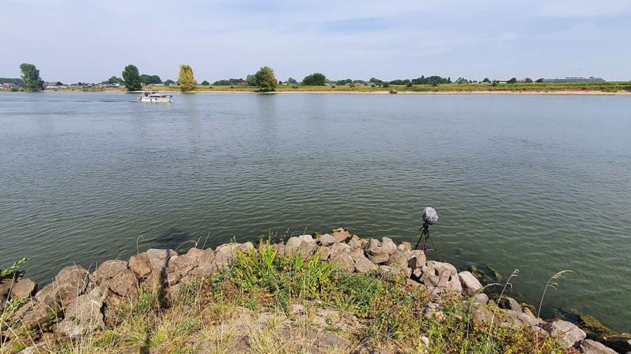 Heatwave and drought alarm the Netherlands - citizens urged to save water Heatwave and drought alarm the Netherlands - citizens urged to save water