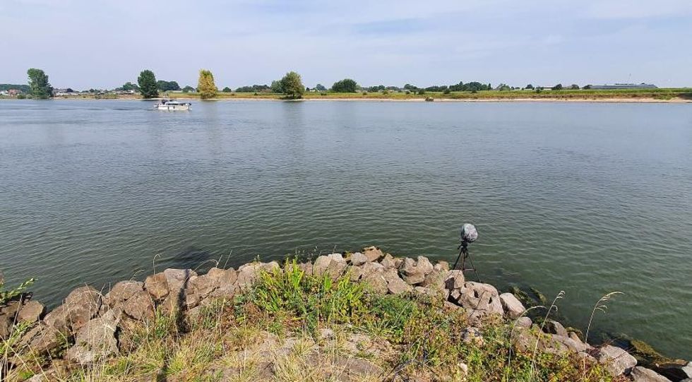 Heatwave and drought alarm the Netherlands - citizens urged to save water