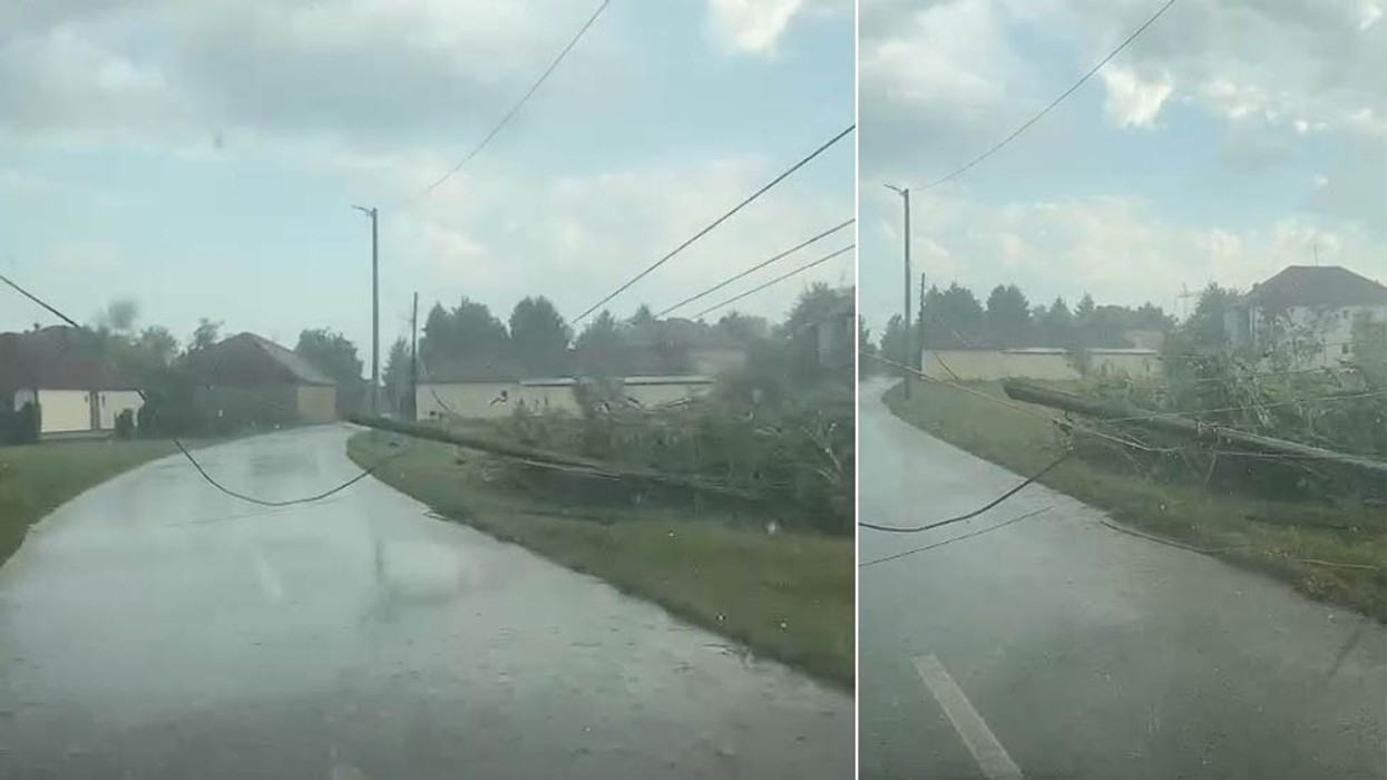 Shiu i rrëmbyeshëm shkakton dëme në Istog, rrëzohen lisa dhe shtylla elektrike
