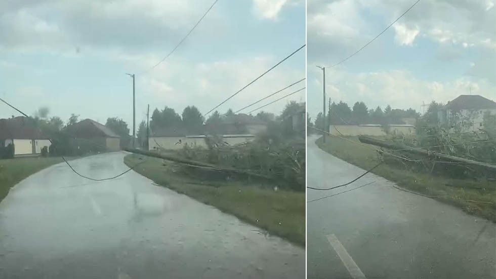 Shiu i rrëmbyeshëm shkakton dëme në Istog, rrëzohen lisa dhe shtylla elektrike