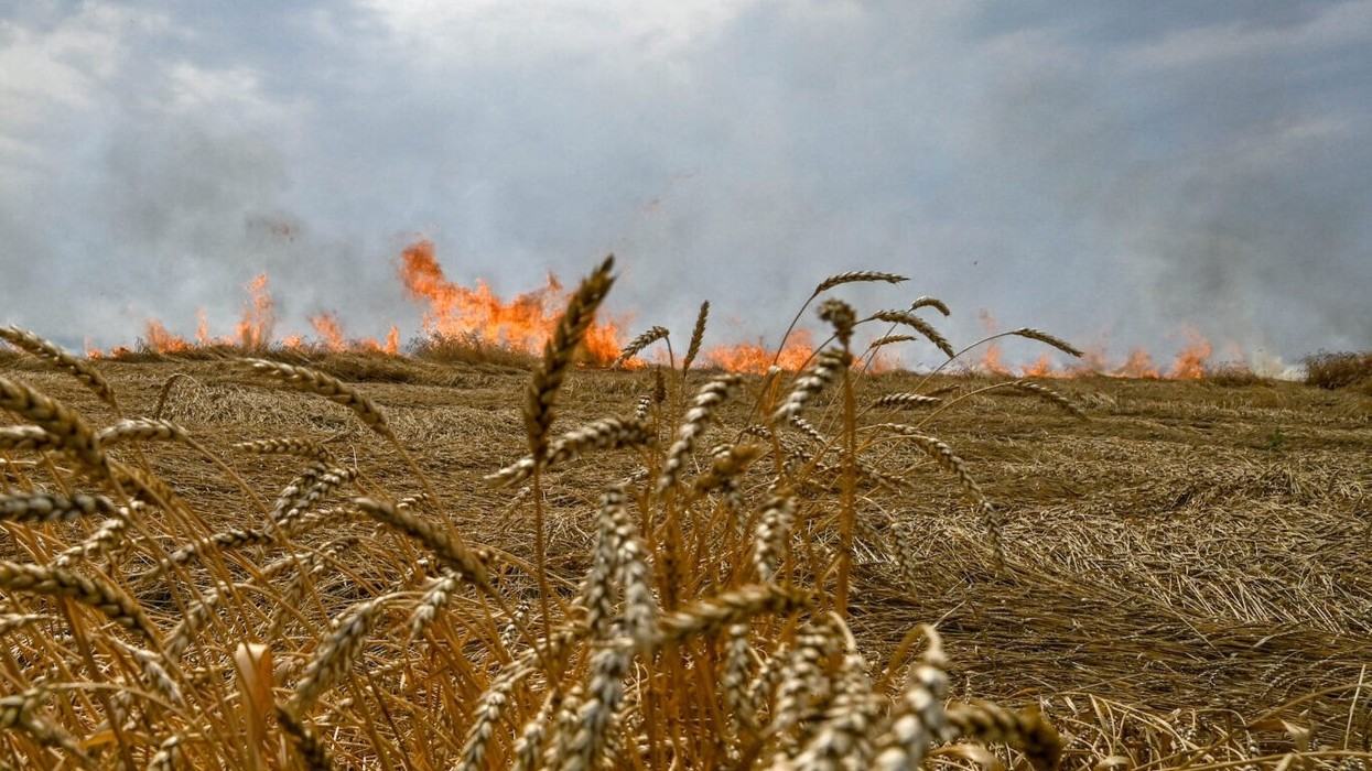 Rusia shënjestron të lashtat ukrainase me bomba ndezëse për t’i djegur të korrat