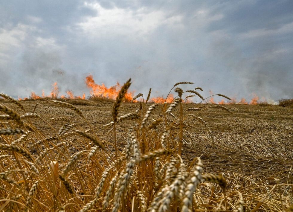 Rusia shënjestron të lashtat ukrainase me bomba ndezëse për t’i djegur të korrat
