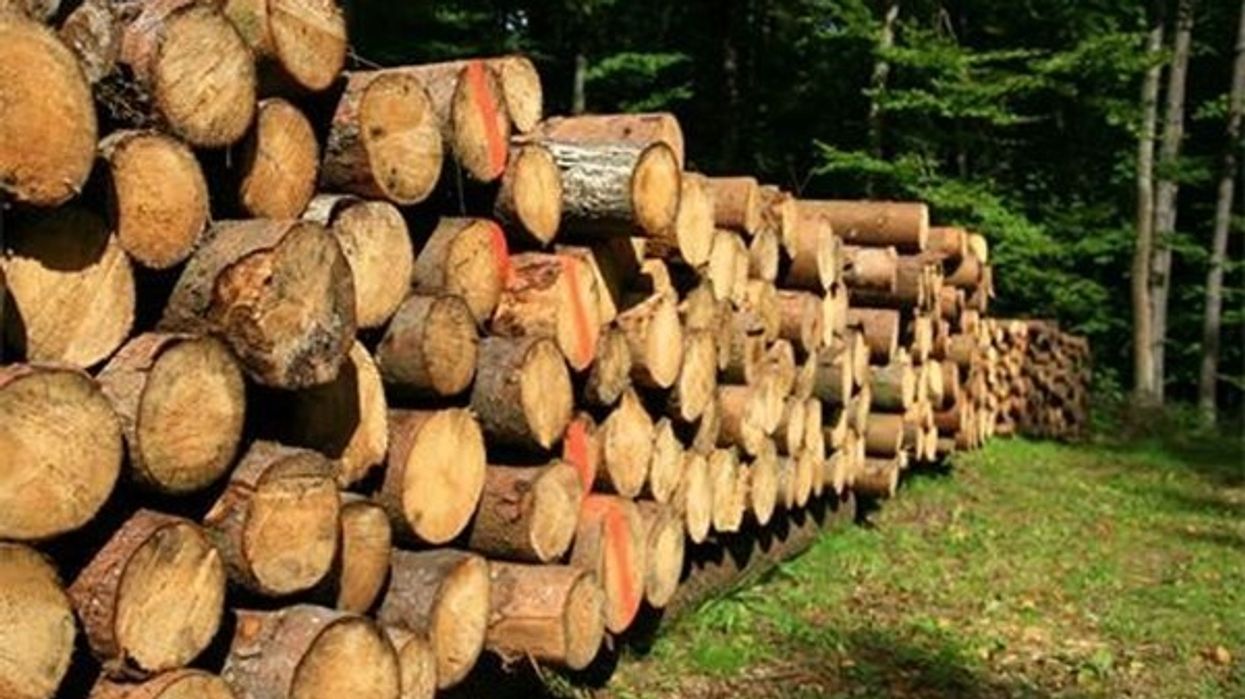 Konfiskohen dru pa dokumentacion në Gjilan, i dyshuari lirohet në procedurë të rregullt Konfiskohen dru pa dokumentacion në Gjilan, i dyshuari lirohet në procedurë të rregullt