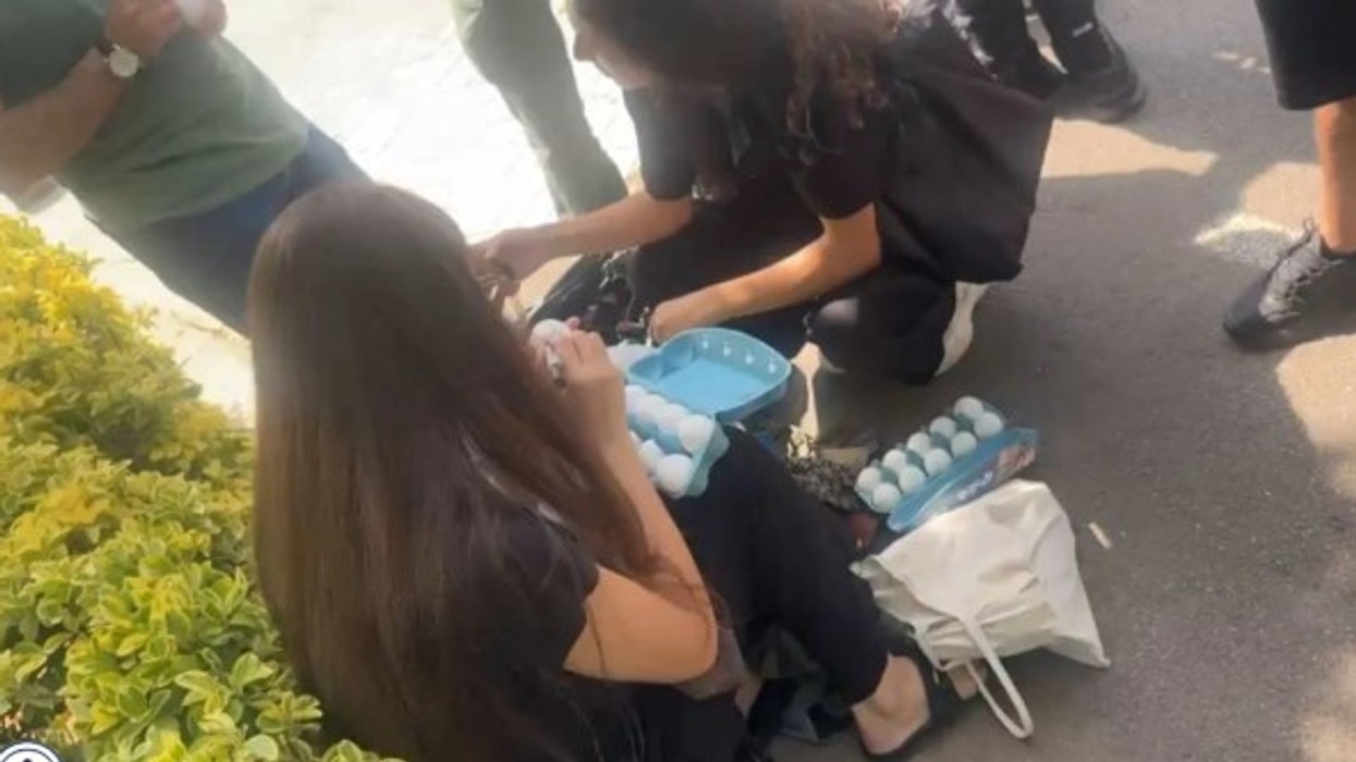 Protestuesit mblidhen te Kuvendit të Shqipërisë, personalizojnë vezët me emrat e deputetëve