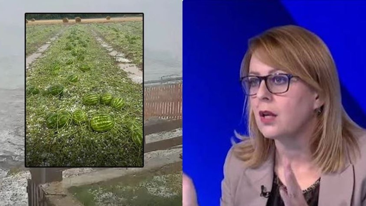 Bajrami kërkon mbledhje urgjente të Qeverisë: Të ndahen mjete për kompensimin e dëmeve nga breshri