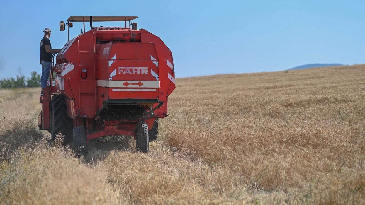 Mbi 688 hektarë grurë të korrur në Kamenicë, procesi po vazhdon Mbi 688 hektarë grurë të korrur në Kamenicë, procesi po vazhdon