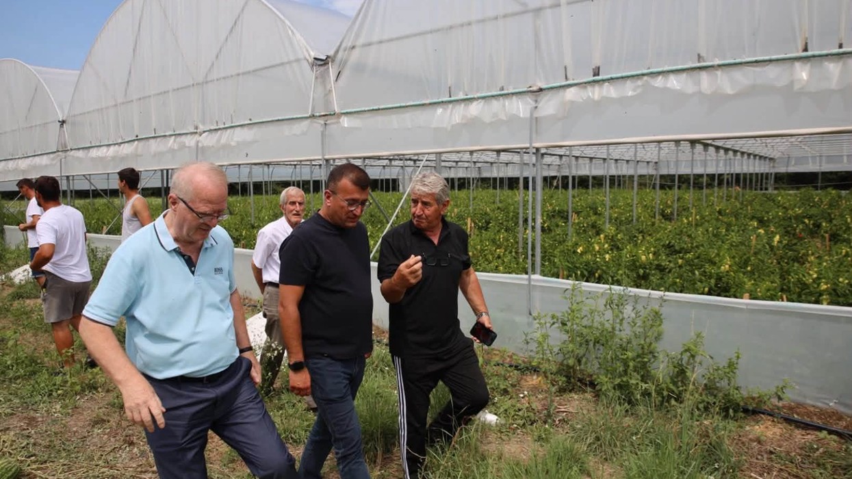 Ferati: Komisionet në terren për vlerësimin e dëmeve nga breshëri, kompensimi i fermerëve kërkohet me urgjencë