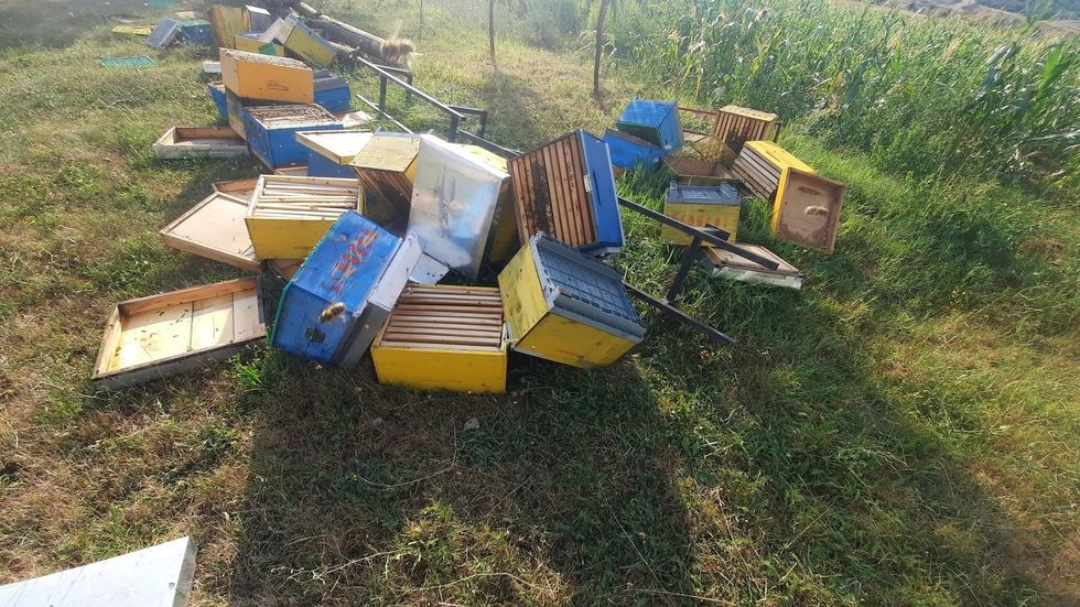 Erërat e forta shkaktojnë dëme edhe në bletari në Klinë