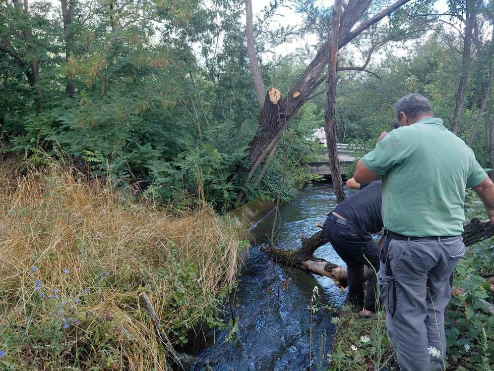 KRU “Drini i Bardhë” nis sanimin e dëmeve pas vërshimeve dhe erërave të forta