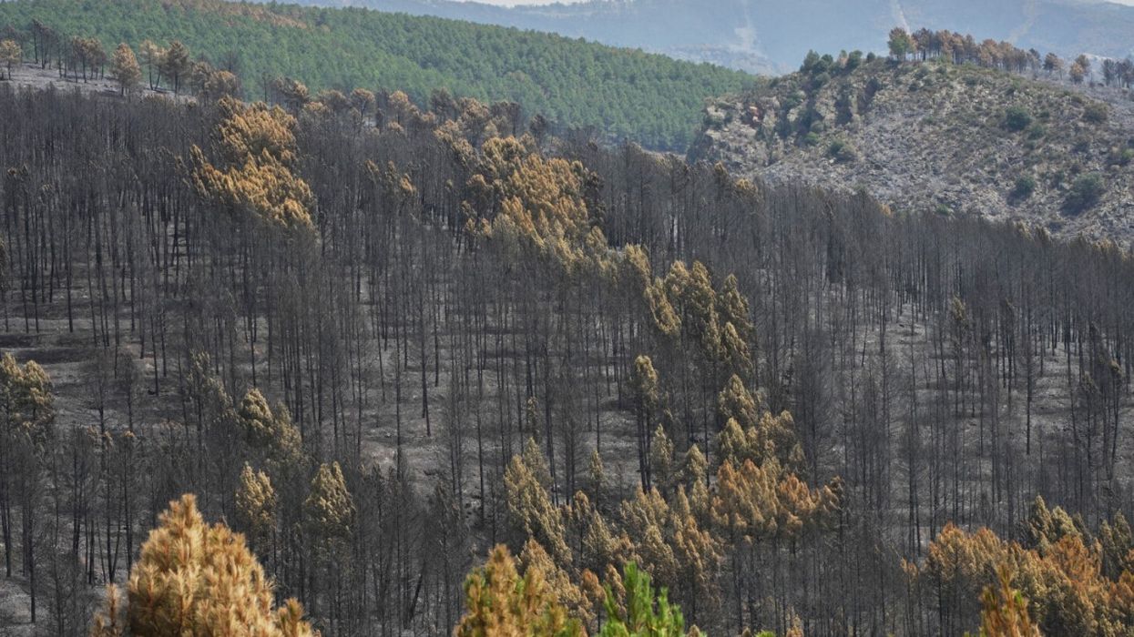 Zjarri gjigant në Spanjë përfshiu 32 mijë hektarë pyje, evakuohen 34 fshatra Zjarri gjigant në Spanjë përfshiu 32 mijë hektarë pyje, evakuohen 34 fshatra
