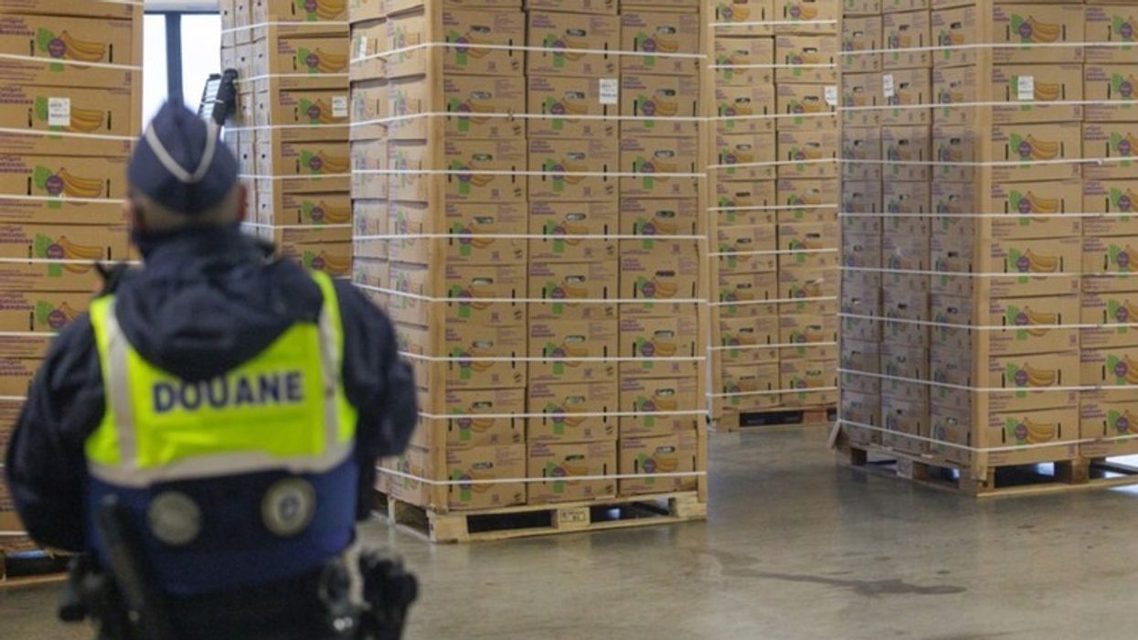 Canada legalizes cannabis, gangs are shipping it massively to Europe Canada legalizes cannabis, gangs are shipping it massively to Europe