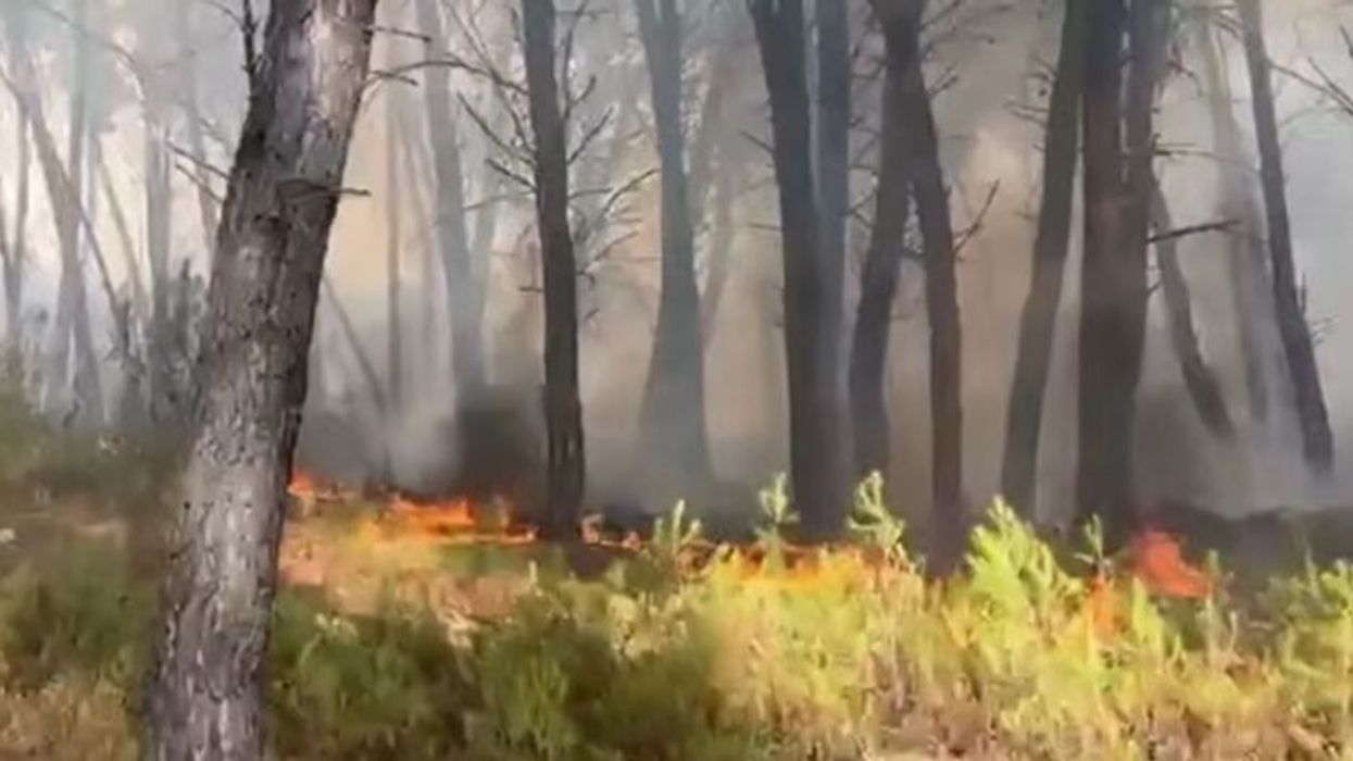 Zjarri në Pyllin e Sodës në Vlorë merr përmasa të rrezikshme - thirrje qytetarëve të shmangin zonën Zjarri në Pyllin e Sodës në Vlorë merr përmasa të rrezikshme - thirrje qytetarëve të shmangin zonën