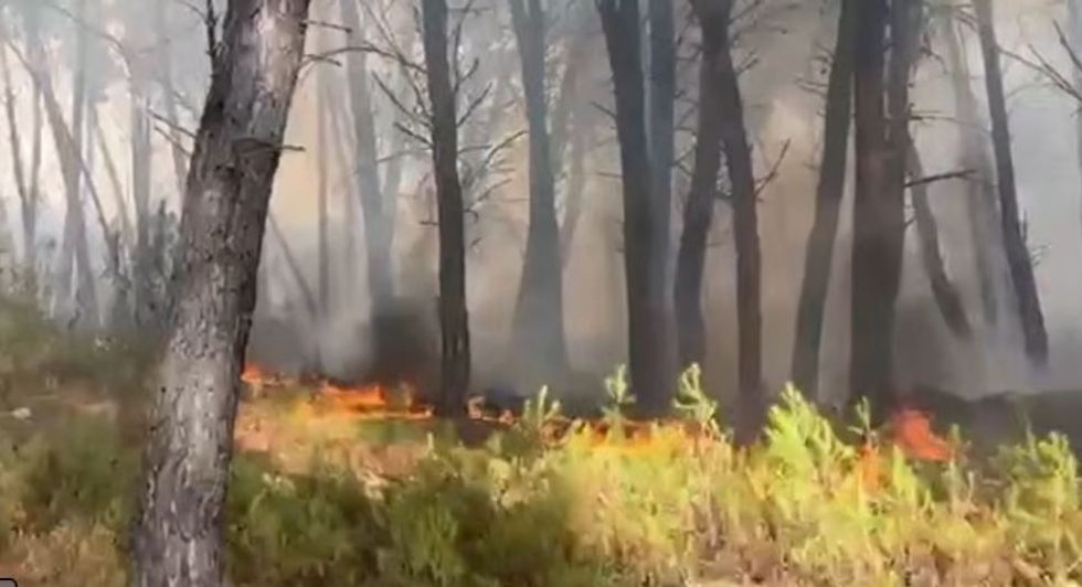 Zjarri në Pyllin e Sodës në Vlorë merr përmasa të rrezikshme - thirrje qytetarëve të shmangin zonën