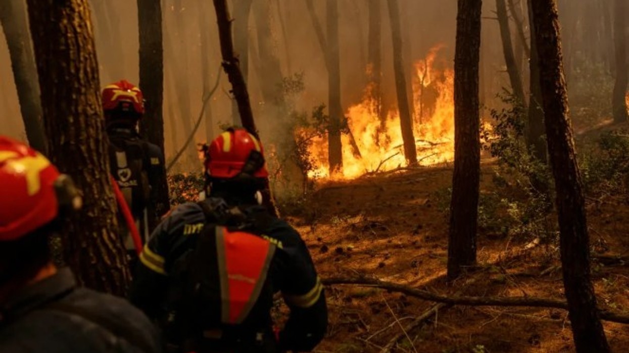 Zjarret masive përfshijnë Uashingtonin, mijëra zjarrfikës në terren