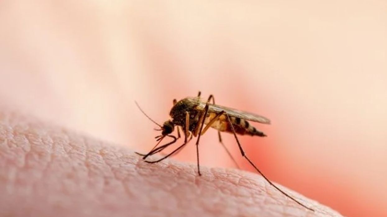 “Kujdes nga pickimet e mushkonjave”, IKSHPK me këshilla për mbrojtje nga malaria “Kujdes nga pickimet e mushkonjave”, IKSHPK me këshilla për mbrojtje nga malaria