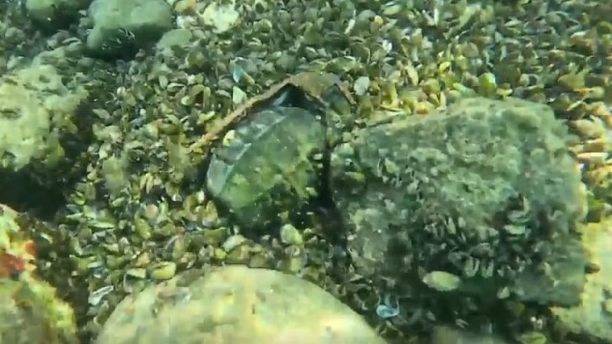Në lumin Limmat të Zürichut gjendet një granatë dore nga ish-Jugosllavia Në lumin Limmat të Zürichut gjendet një granatë dore nga ish-Jugosllavia
