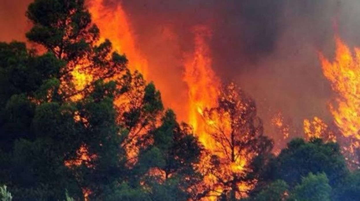 Situata e rënduar me zjarret në Shqipëri dhe Mali të Zi, Kosova e gatshme t'iu dalë në ndihmë Situata e rënduar me zjarret në Shqipëri dhe Mali të Zi, Kosova e gatshme t'iu dalë në ndihmë