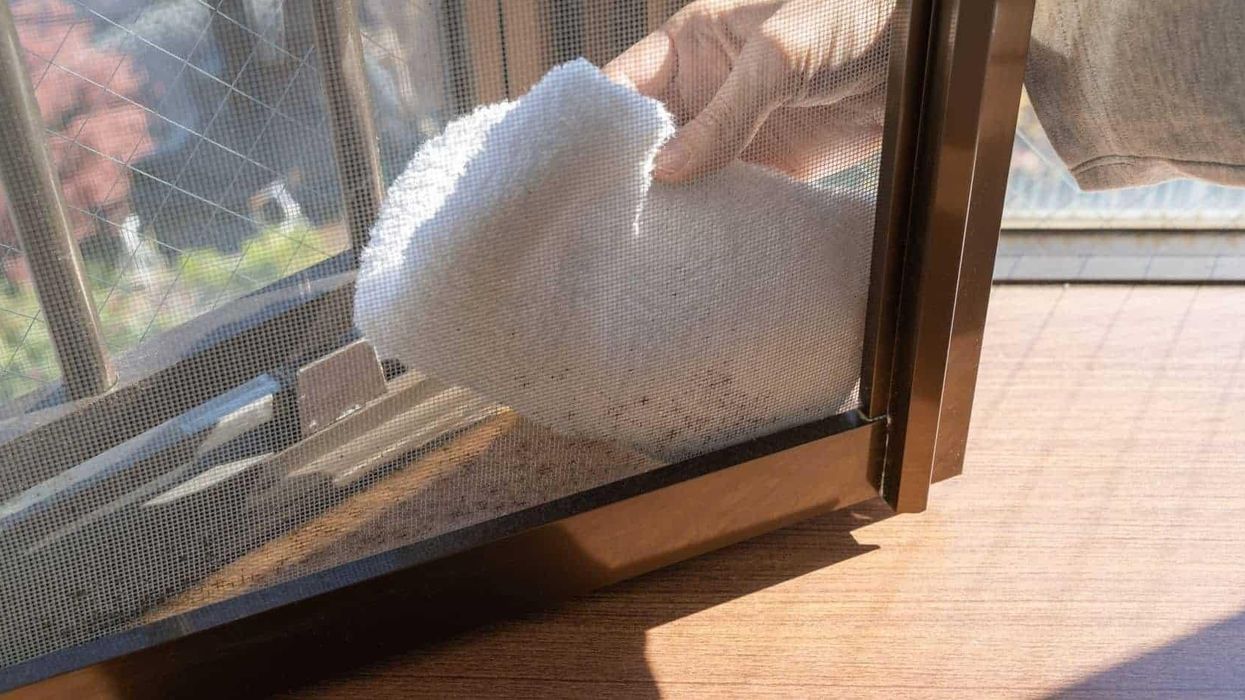 Rrjeta e insekteve bëhet edhe më e pistë nëse e lagni menjëherë: Ja si pastrohet pa e hequr nga dritarja Rrjeta e insekteve bëhet edhe më e pistë nëse e lagni menjëherë: Ja si pastrohet pa e hequr nga dritarja
