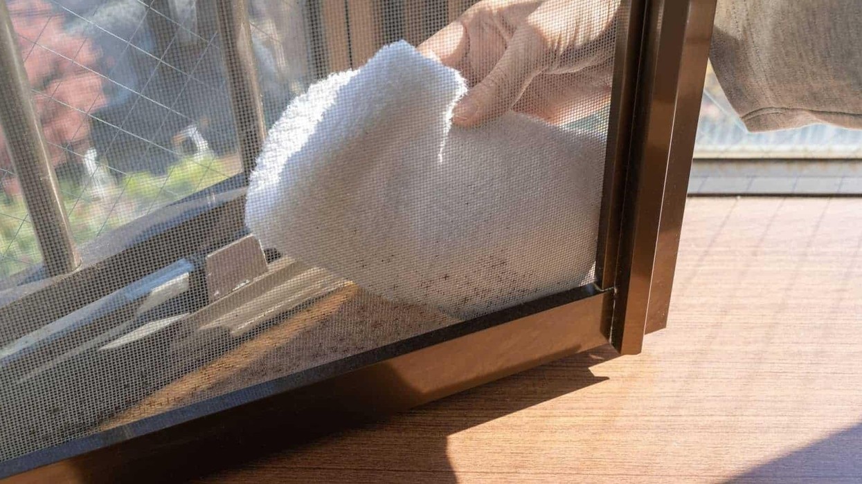Rrjeta e insekteve bëhet edhe më e pistë nëse e lagni menjëherë: Ja si pastrohet pa e hequr nga dritarja