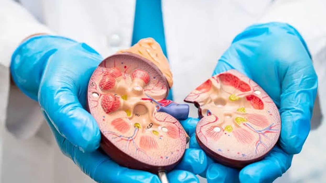 Përfituan 134 mijë euro duke mashtruar për transplantim veshke, aktakuzë ndaj dy personave në Pejë