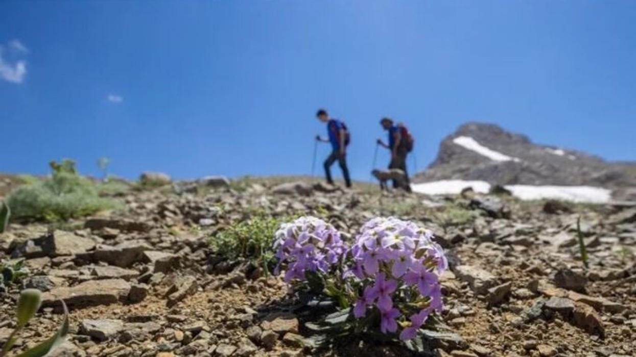 U zhdukën në vitin 1992, gjenden pas më shumë se tre dekadash eshtrat e dy alpinistëve belgë në alpet zvicerane