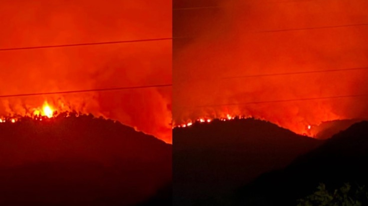 Zjarri përfshin dhjetëra hektarë pyje në Pukë, flakët kërcënojnë banesat e fshatit Gojan i Vogël