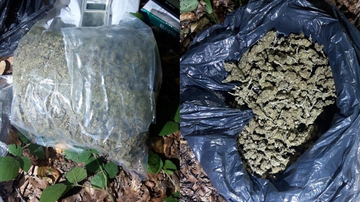 Mbi 1 kilogram marihuanë kapet në dy vila në Brezovicë, arrestohet 27-vjeçari Mbi 1 kilogram marihuanë kapet në dy vila në Brezovicë, arrestohet 27-vjeçari