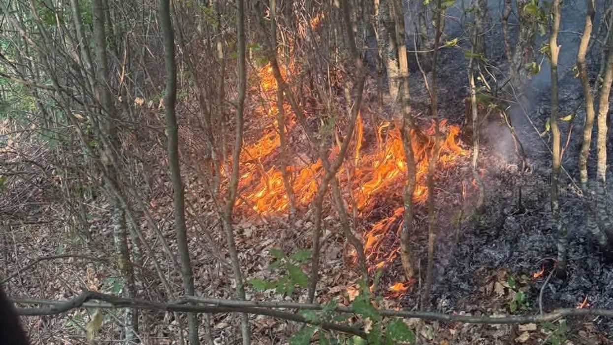 Zjarre në Mitrovicë, Peci: Jemi në terren me të gjitha kapacitetet Zjarre në Mitrovicë, Peci: Jemi në terren me të gjitha kapacitetet