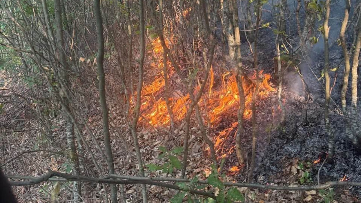 Zjarre në Mitrovicë, Peci: Jemi në terren me të gjitha kapacitetet