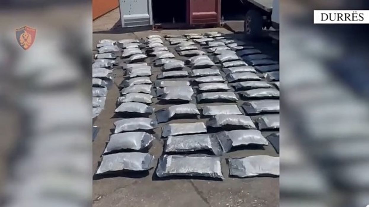 Nga Kanadaja në Shqipëri e Kosovë- sekustrohen në Durrës rreth 80 kg kanabis e llojit “Gelato” - goditet rrjeti i trafikimit Nga Kanadaja në Shqipëri e Kosovë- sekustrohen në Durrës rreth 80 kg kanabis e llojit “Gelato” - goditet rrjeti i trafikimit