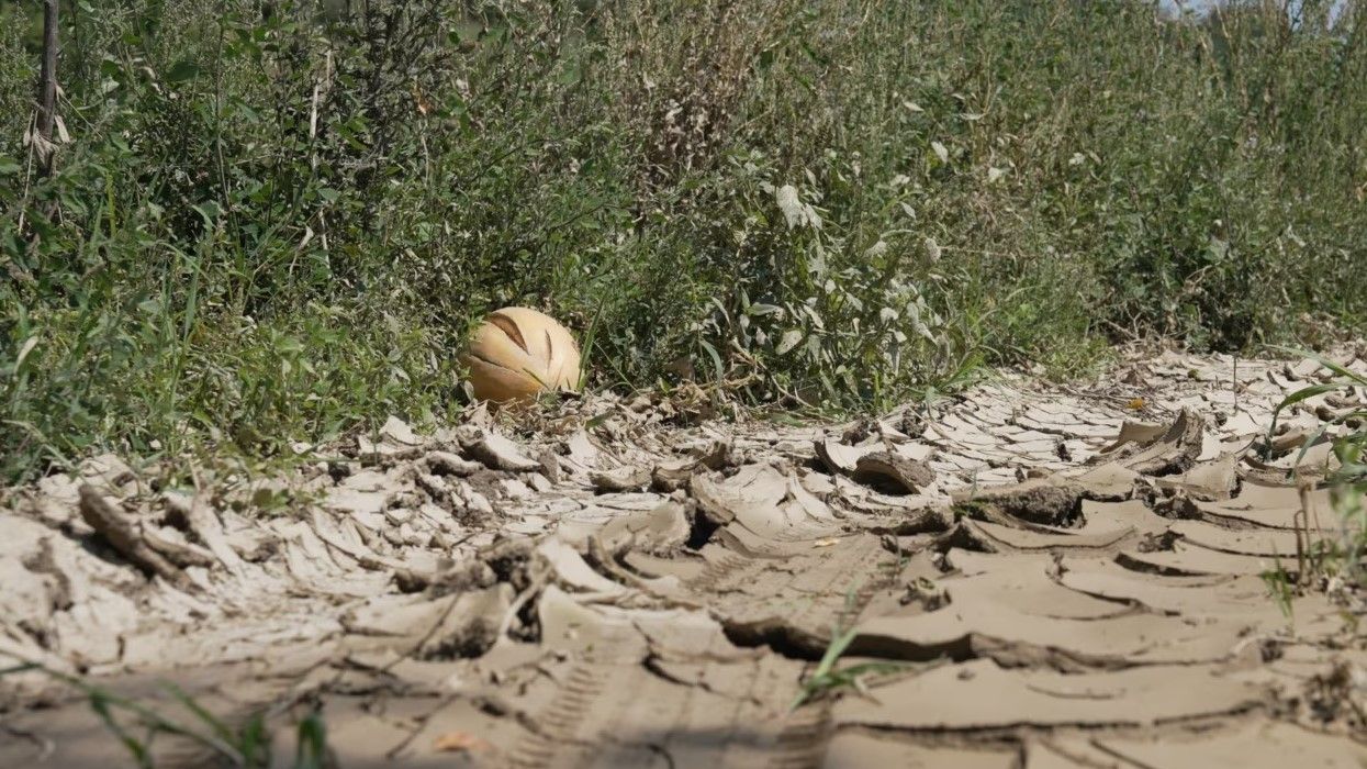 Thatësira, nxehtësi dhe përmbytje, klima po godet bujqësinë në Kosovë Thatësira, nxehtësi dhe përmbytje, klima po godet bujqësinë në Kosovë