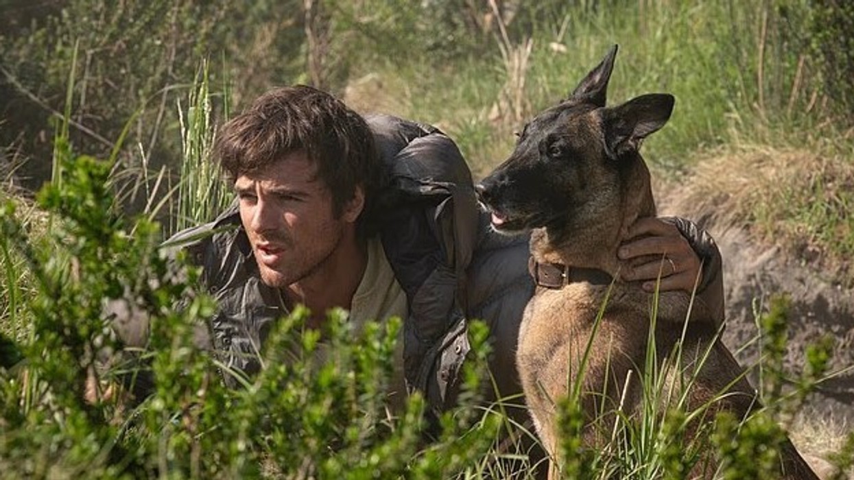 Mes kaosit, vetmisë dhe rrezikut, Jacob Elordi dhe qeni i tij bëhen protagonistët e një historie prekëse mbijetese në filmin e ri të Ridley Scott, “The Dog Stars”