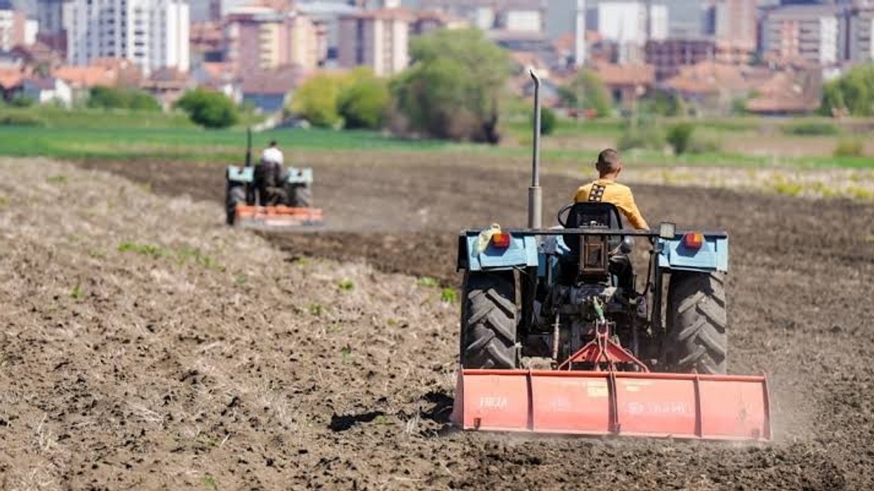 Rritje e vlerës së prodhimeve bimore dhe blegtorale në Kosovë