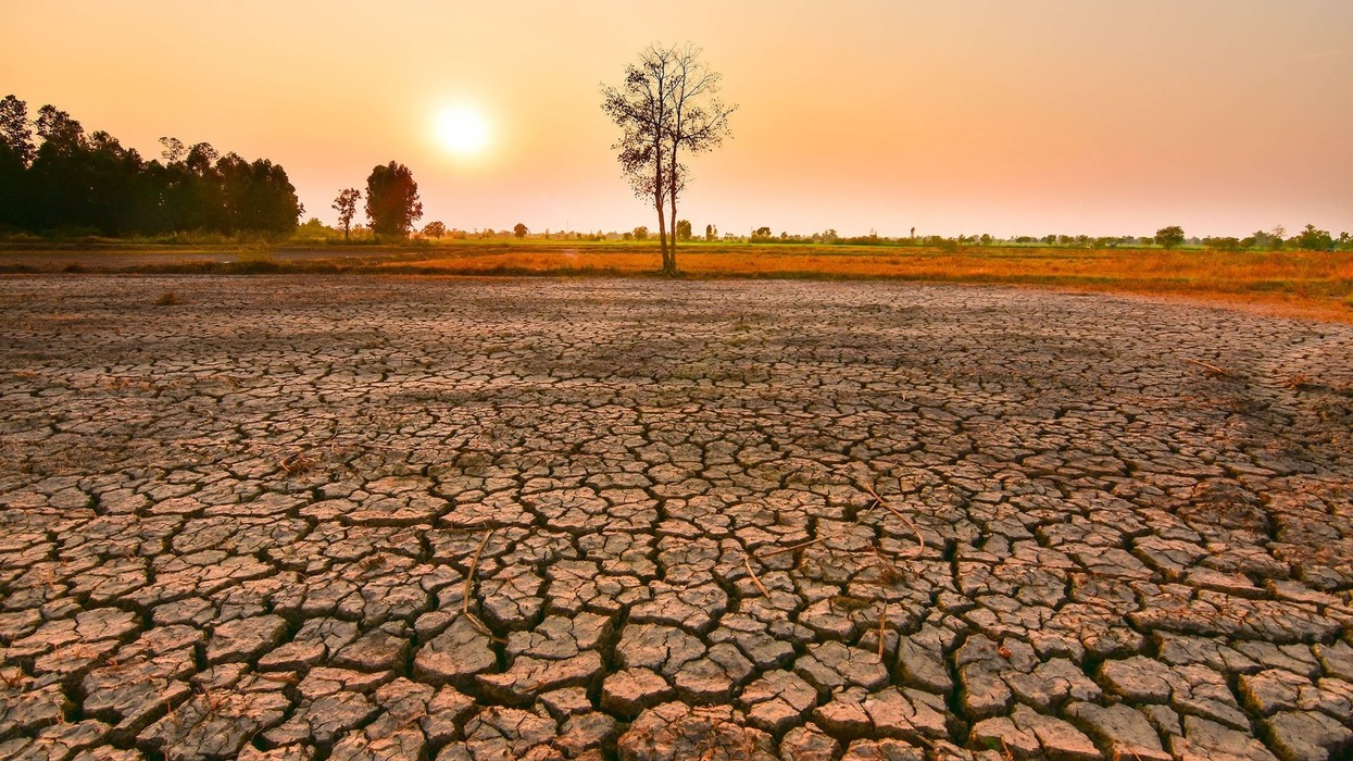 El Nino po bëhet më ekstrem, shkencëtarët paralajmërojnë për pasoja globale
