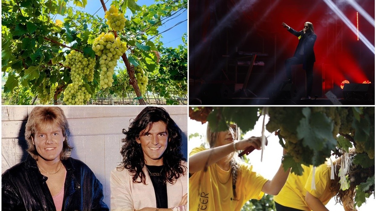 Sot nis “Hardh Fest” – tri ditë verë e rrush në vreshtat e Rahovecit, me Modern Talking për herë të parë në Kosovë
