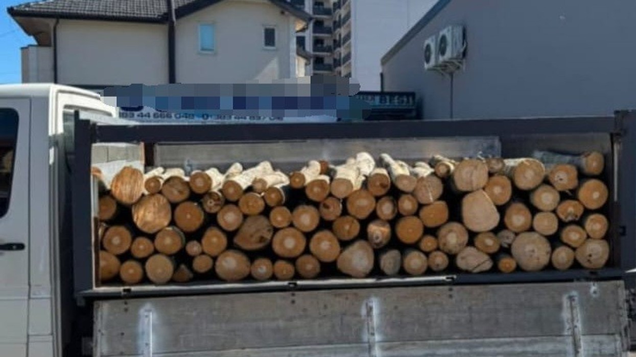 Policia në Ferizaj konfiskon pesë furgona dhe një kamion që dyshohet se transportonin dru pa dokumente