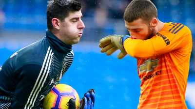 2019/03/thibautdegea.png