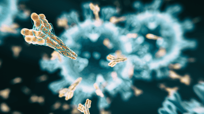 2020/07/antibody-thumb-l.png