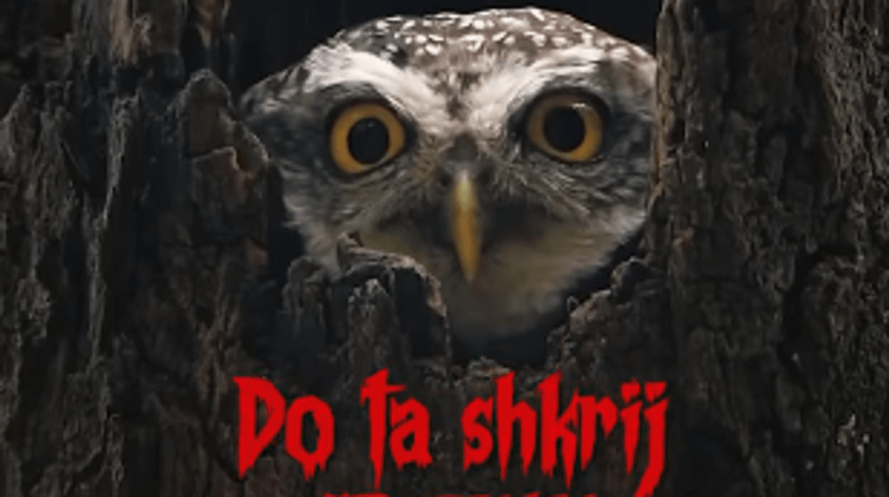 Rama vazhdon me ironinë e "bufit" për Berishën