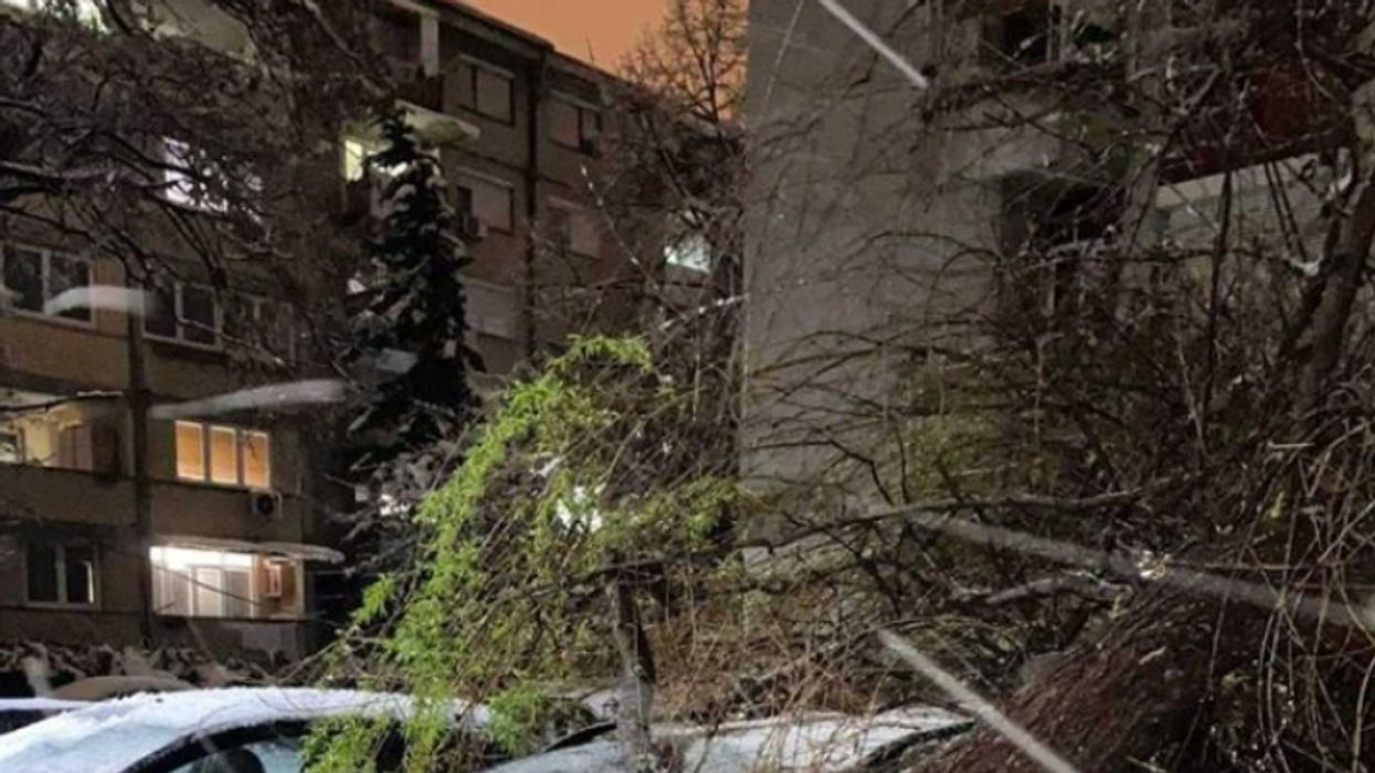 QMK: U rrëzua një pemë në Shkup, dëmtoi tre automjete