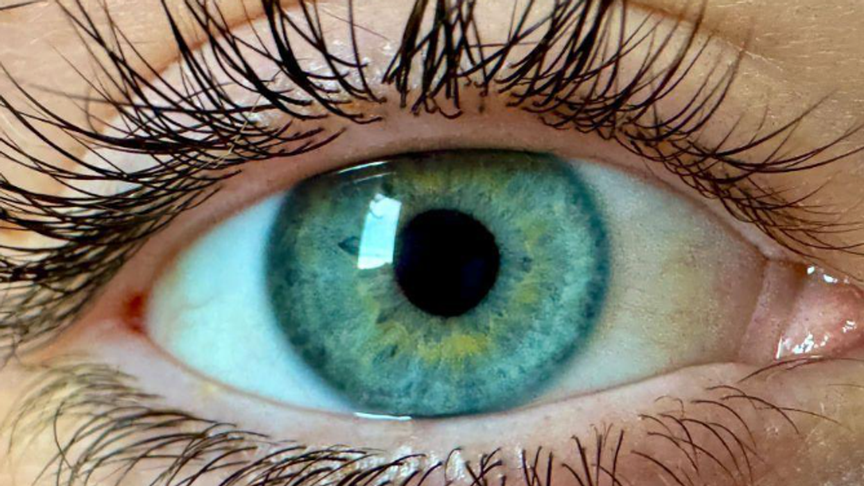 Shkencëtarët pretendojnë se kanë zbuluar një ngjyrë të re që askush nuk e ka parë më parë