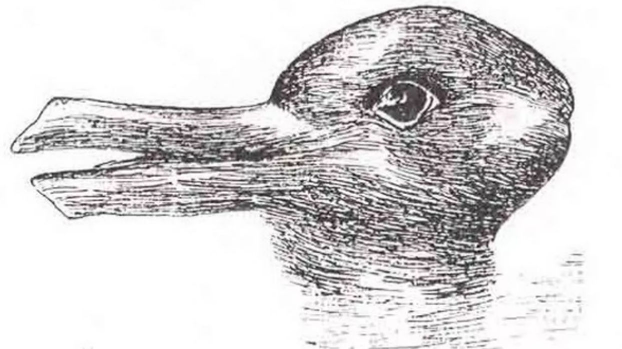 Lepur apo rosë? Ajo që shihni së pari tregon se cila hemisferë e trurit tuaj është dominante