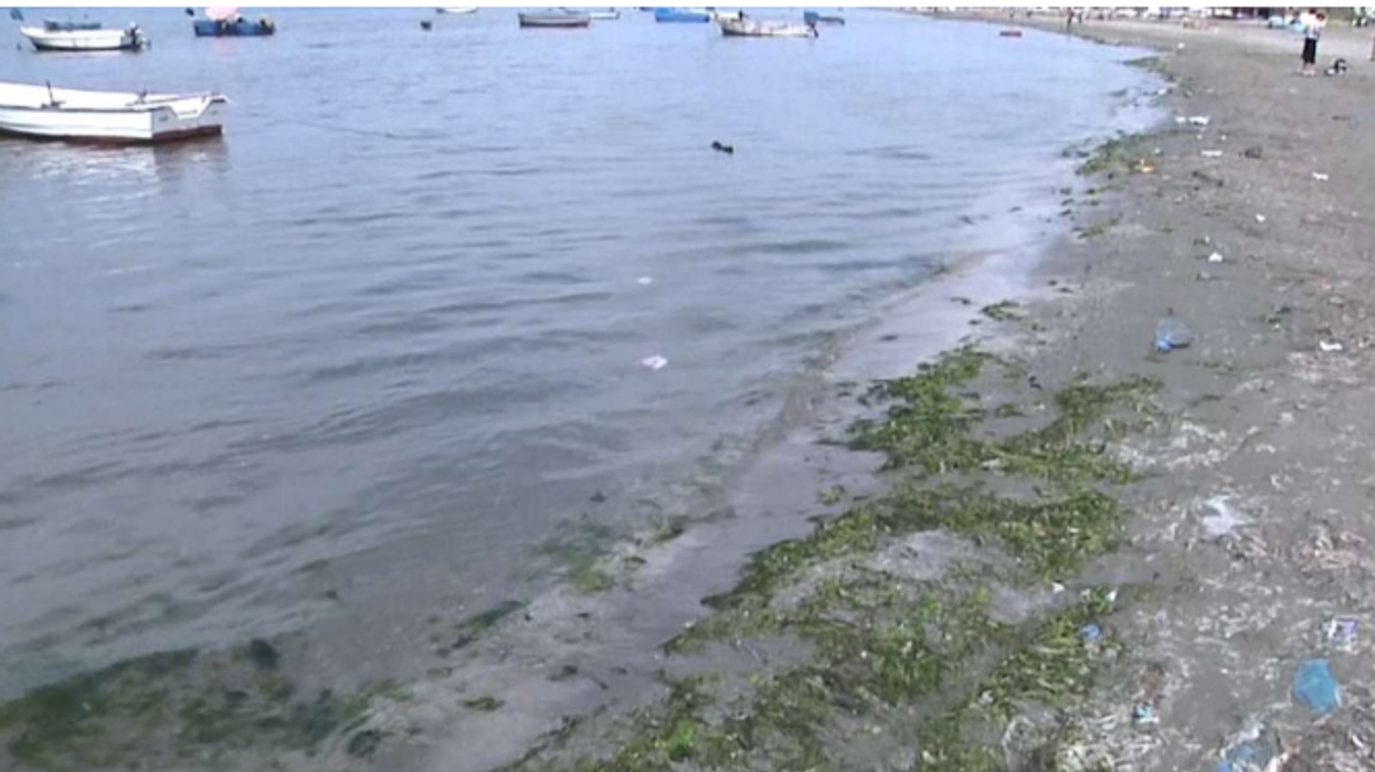 Bregdeti i Vlorës i ndotur, pushuesit: Shqetësim ujërat e zeza, s’ka as roje plazhi