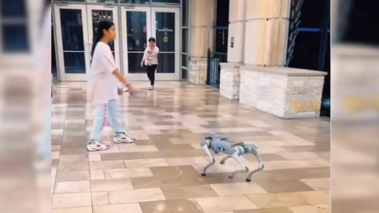 "E ardhmja është këtu" - qeni robot shëtit nëpër një qendër tregtare në SHBA - habit vizitorët