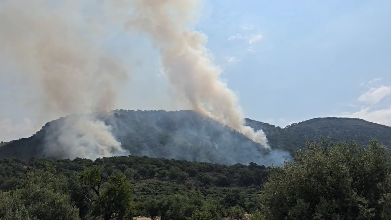 QMK: Kanë shpërthyer 18 zjarre në ambiente të hapura, nuk ka asnjë aktiv