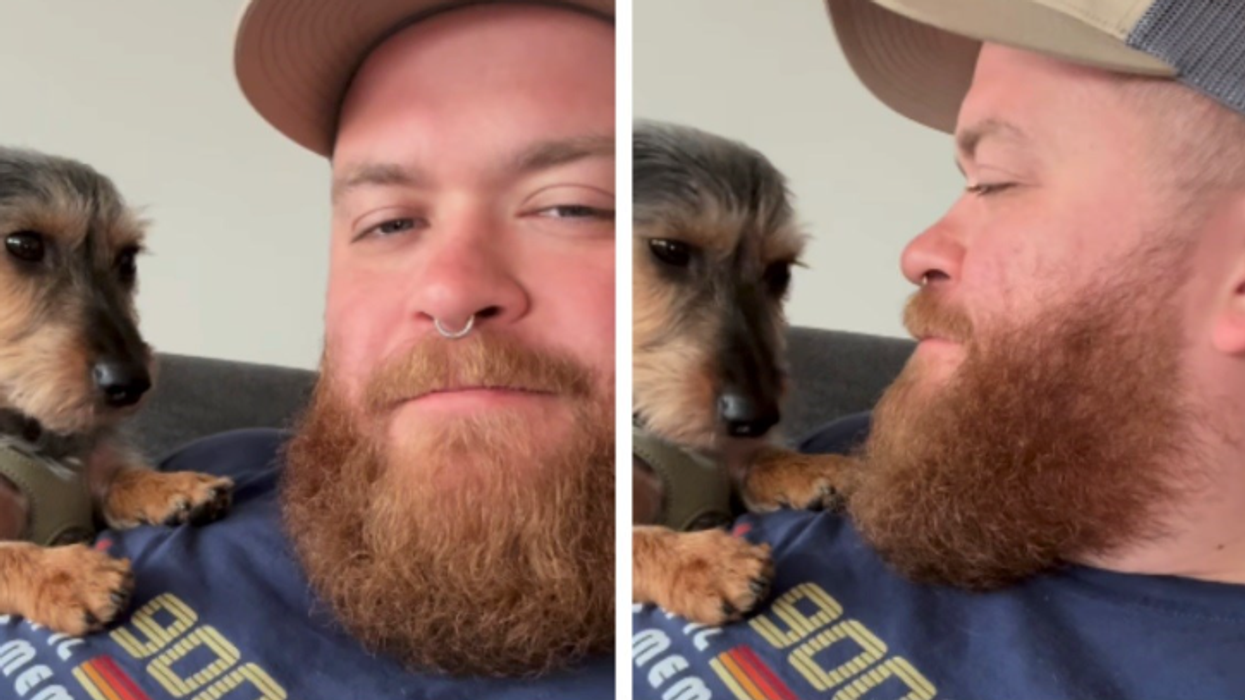 Pronari tregonte se çfarë bënte qeni sa herë që e shikonte gjatë përkëdheljes