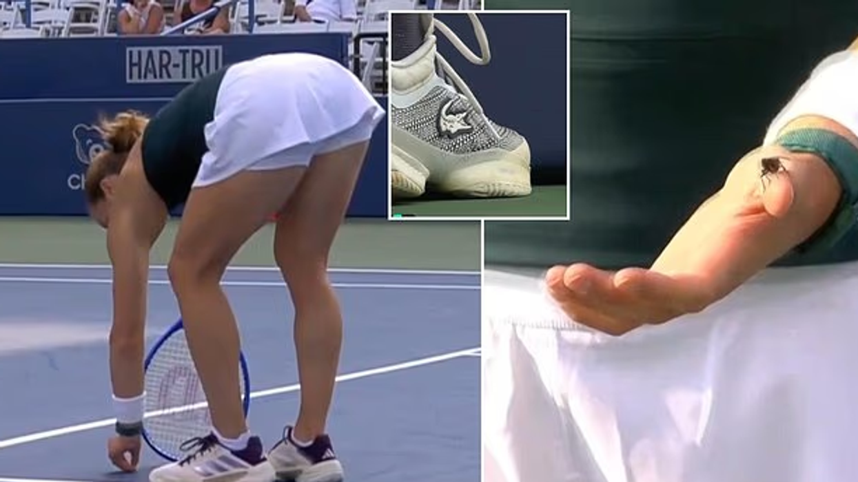 Tenistja shpëton një insekt në fushë