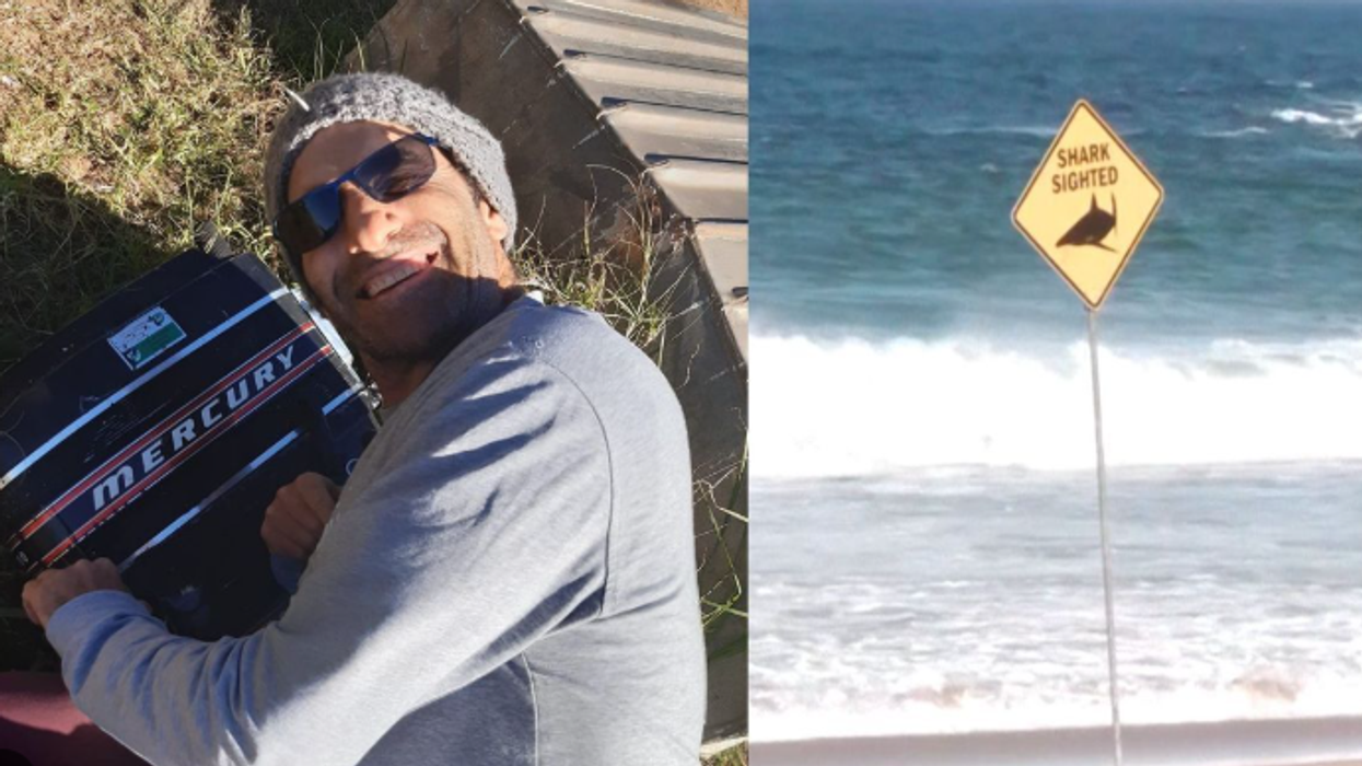 Peshkaqeni vret burrin në plazhin e Sidneit, dëshmitari: Ishte më i madhi që kisha parë