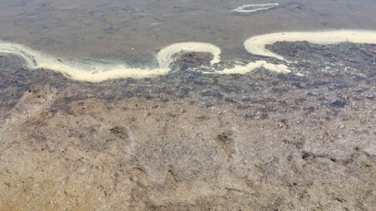 Ndotja në Liqenin e Prespës është alarmante