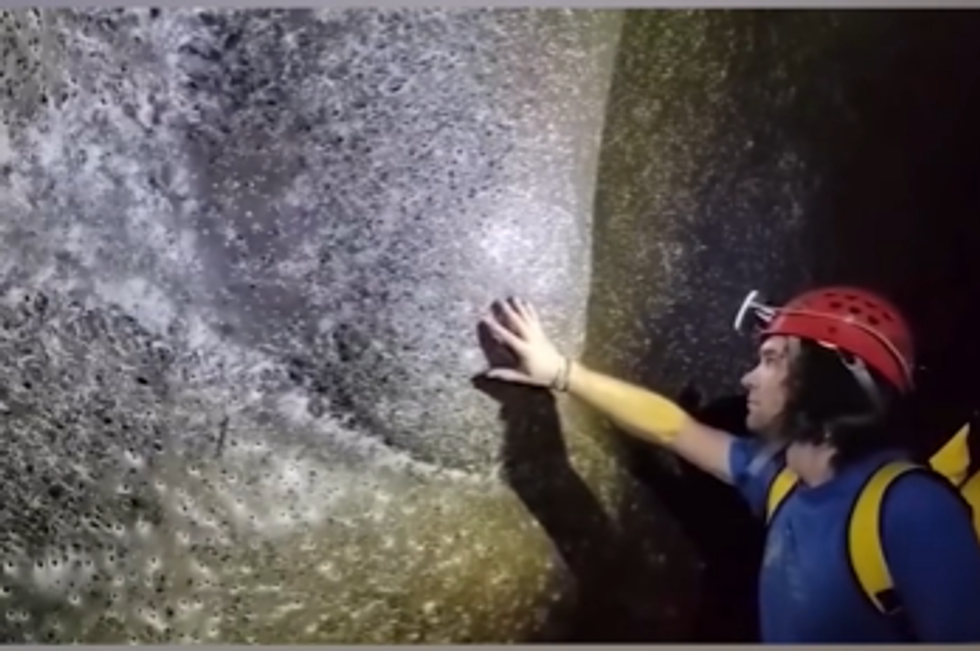 Zbulimi i jashtëzakonshëm pranë kufirit Shqipëri–Greqi, një "qytet" merimangash nën tokë